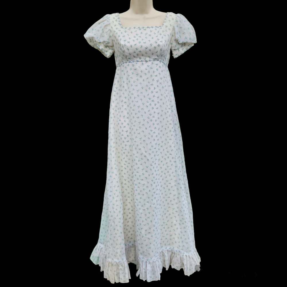 1970's Vintage Sylvia Ann Flowy Maxi  Empire Waist Dress Blue Rosebuds